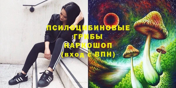 амф Абдулино