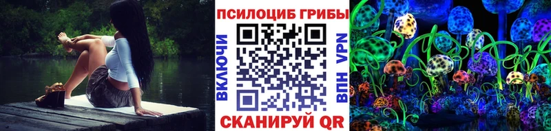 Галлюциногенные грибы Psilocybine cubensis  даркнет наркотические препараты  Хадыженск 