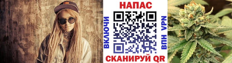 как найти   Хадыженск  Марихуана семена 